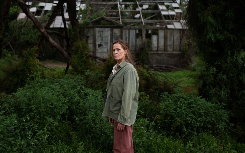 June Hart en 'Las flores perdidas de Alice Hart'